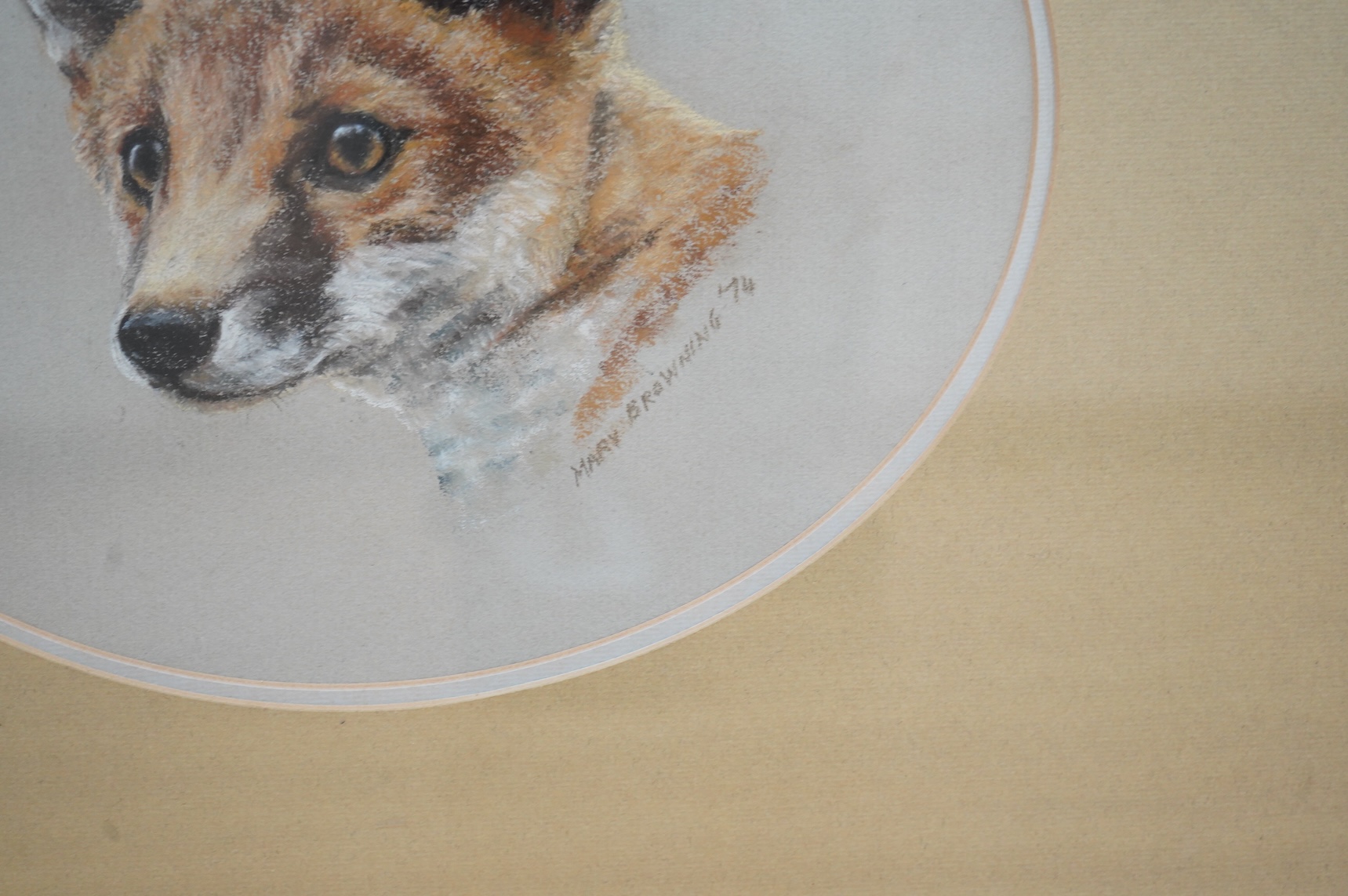 Mary Browning (20th. C), Study of a fox's head, signed and dated '74, oval pastel, 25 x 30cm